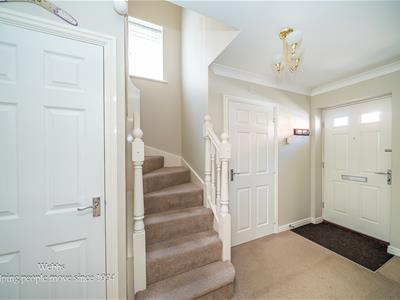 Picture 31